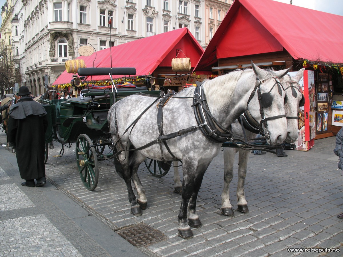 hest og Slede i Praha