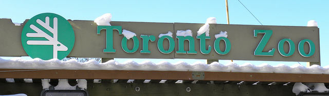 toronto_zoo2